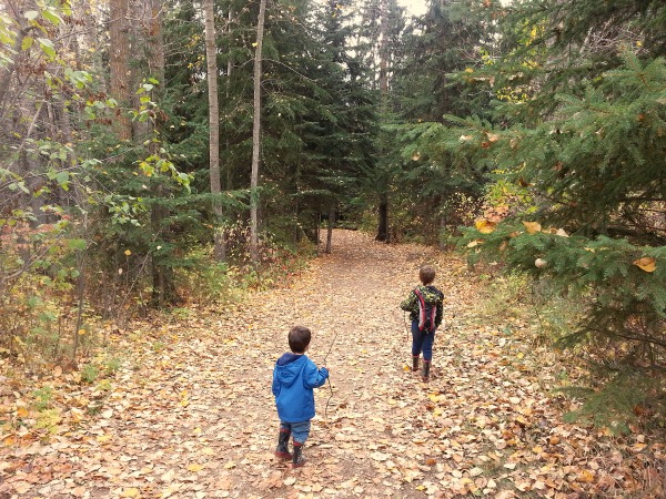 Ravine adventurers: Whitemud Park