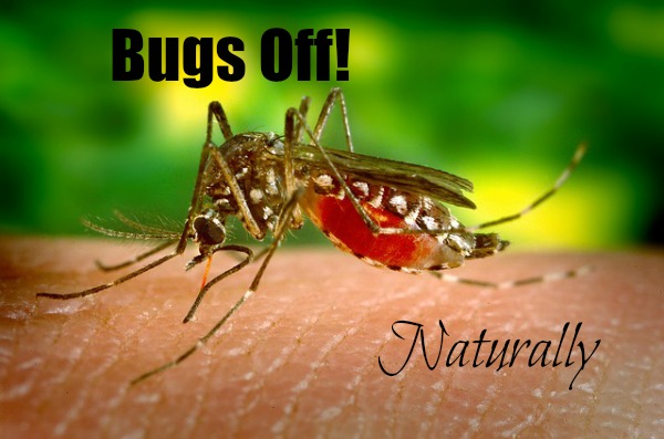 Bugs Off