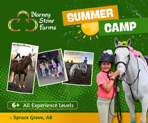 Blarney Stone Farms Summer Camps