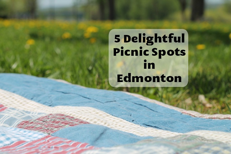 5 Delightful Picnic Spots in Edmonton Family Fun Edmonton