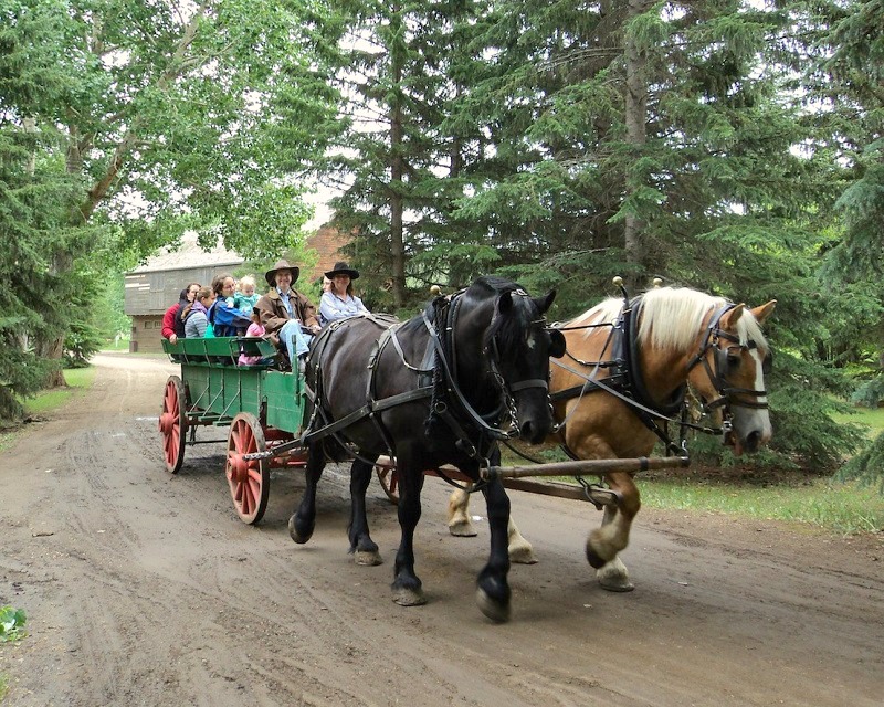 Wagon Ride at Fort Edmonton Park 