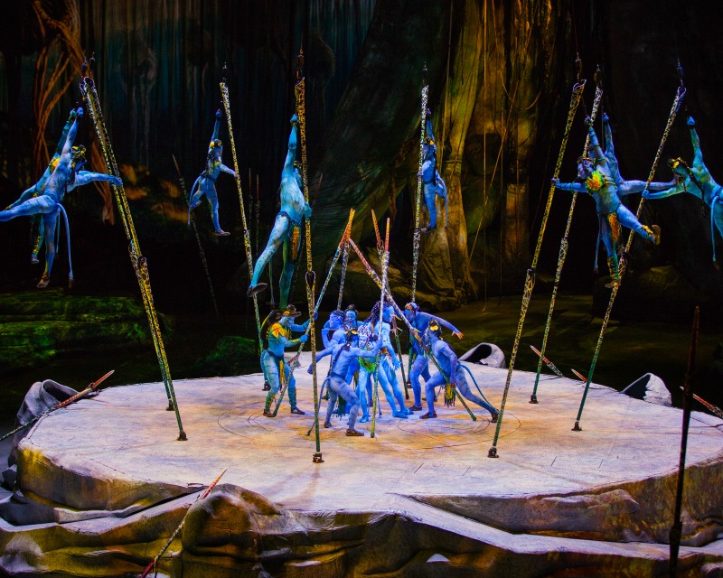 Picture credit : Errisson Lawrence © 2015 Cirque du Soleil Costume credit : Kym Barrett