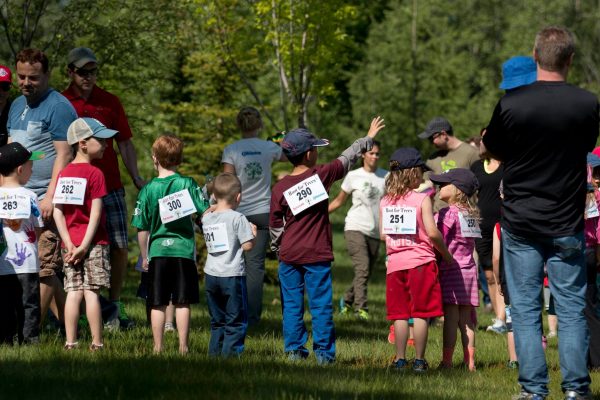 Festival Root for Trees