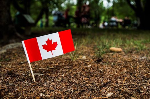 Fête du Canada dans le jardin