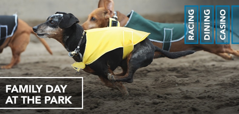 Family Day at Northlands Park