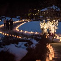 Luminaria Universität Botanischer Garten