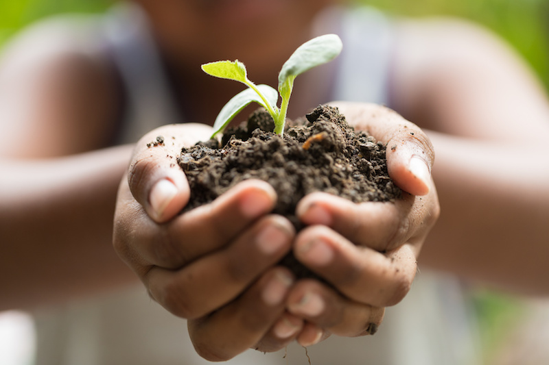 composting workshop Edmonton