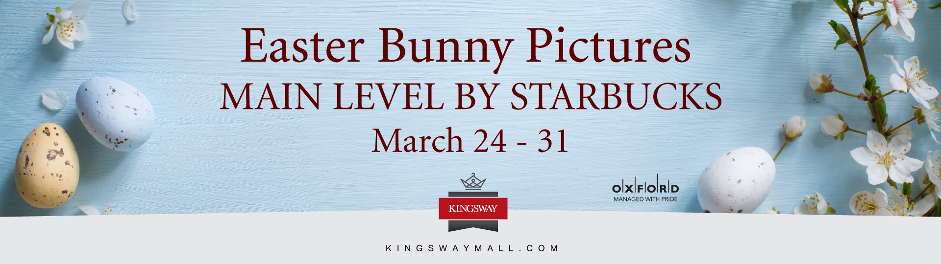 It's a Bunny Bonanza at Kingsway Mall
