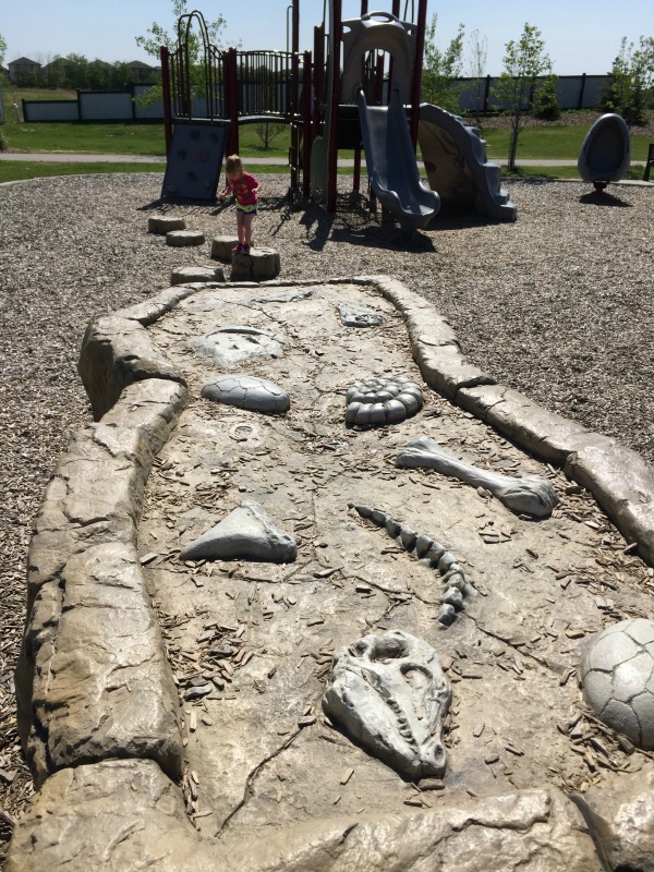 Meadowview Dinosaur Playground