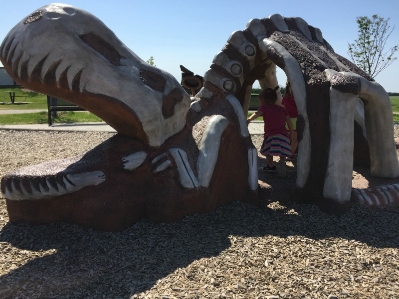 Meadowview Dinosaur Playground