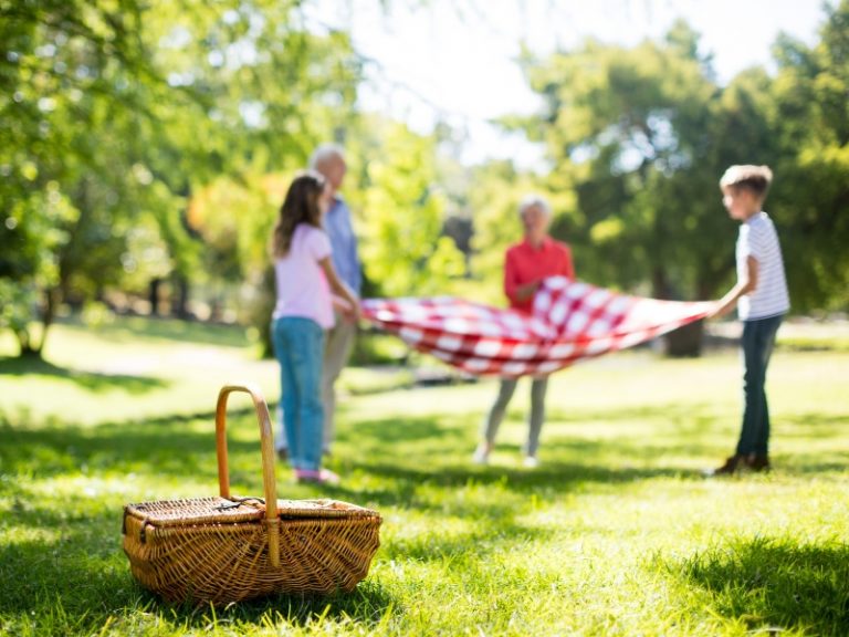 5 Delightful Picnic Spots in Edmonton Family Fun Edmonton