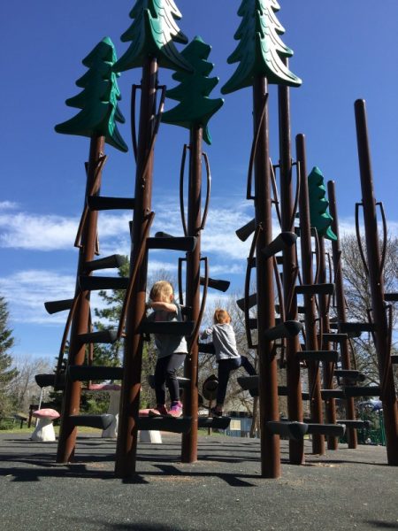 Bonnie Doon Playground