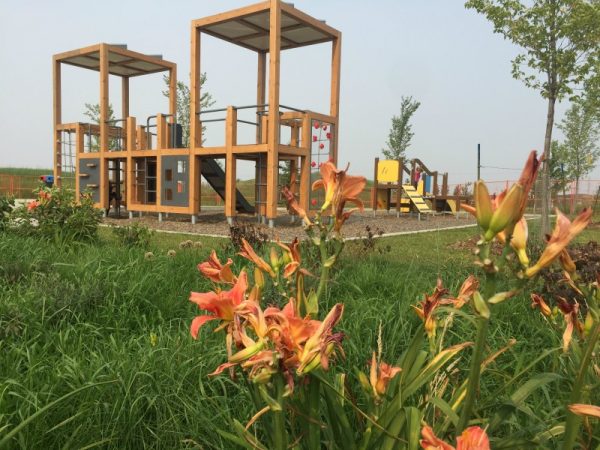 Playground at the Hills at Charlesworth