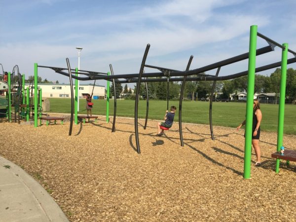 Meadowlark Community Playground