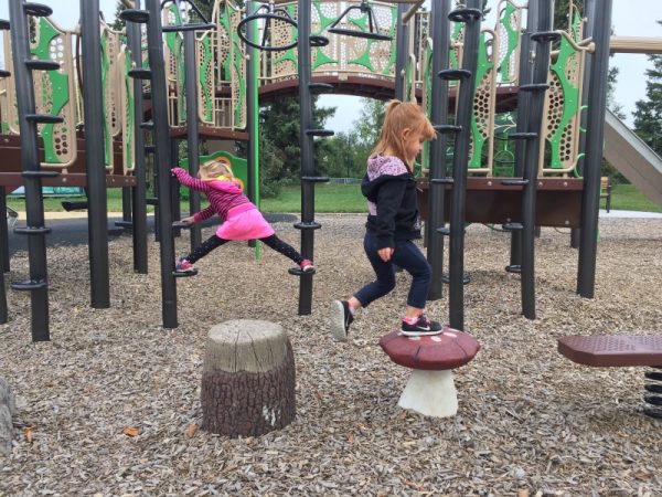 Lendrum Community League Playground