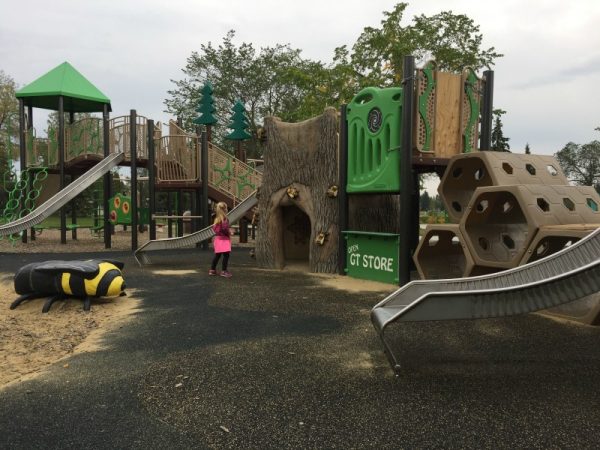 Lendrum Community League Playground