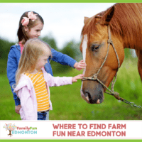 IG Where to Find Farm Fun Near Edmonton