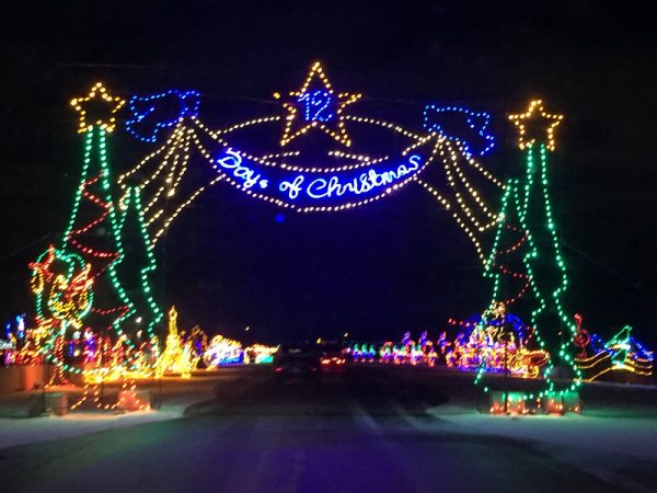 a magical night at magic of lights