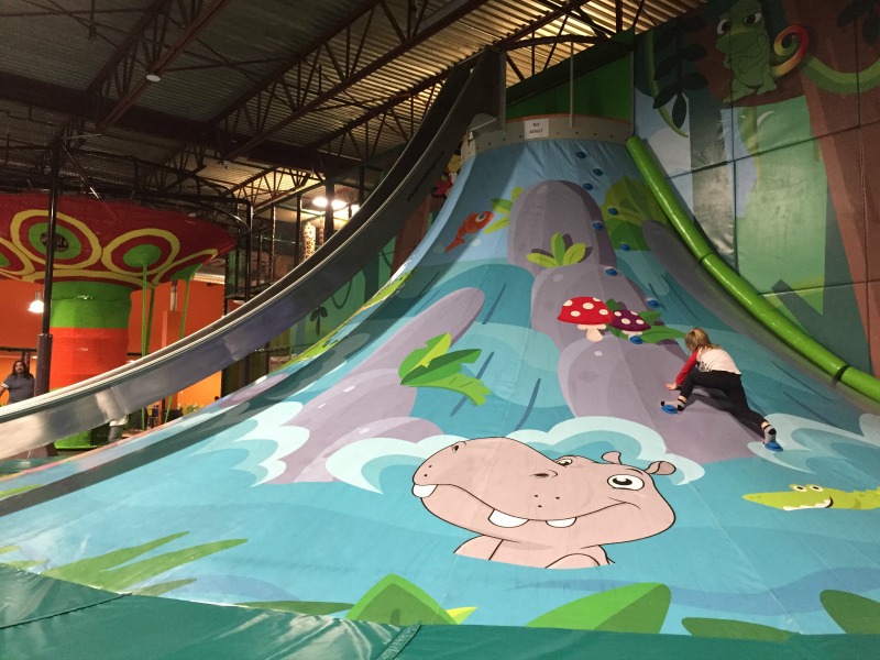 Get Wild at the Amazone Playzone Family Fun Edmonton