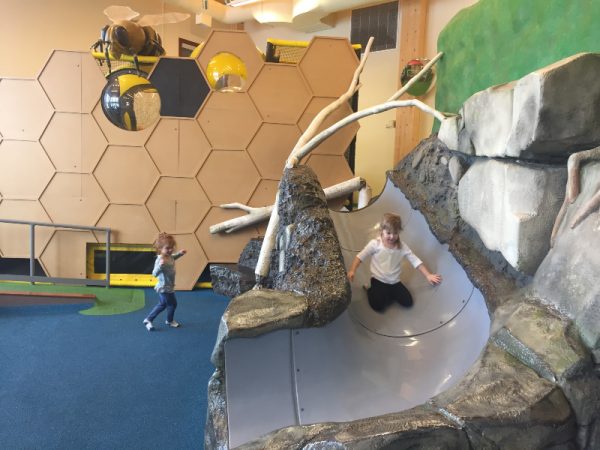 Tegler Discovery Zone