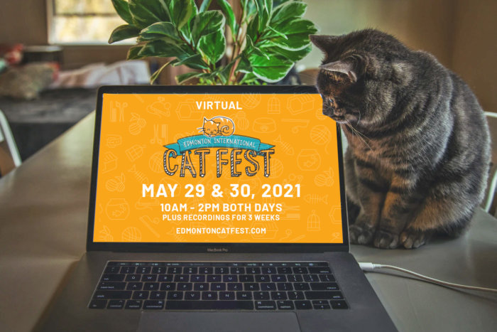 virtual catfest