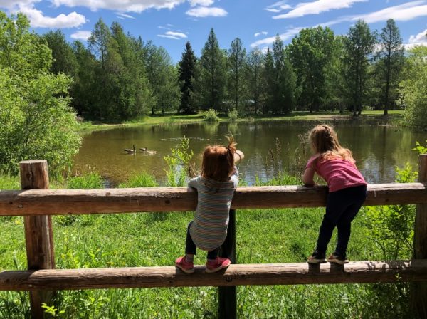 Aire de jeux du parc Rundle