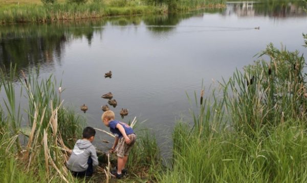 Communitea pond party