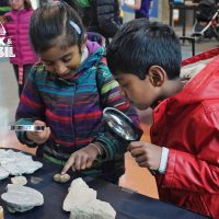 APEGA Rock und Fossil Clinic