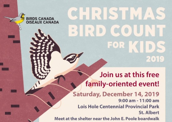 Christmas Bird Count 2022-2019 Christmas Bird Count for Kids Family Fun Edmonton Christmas Bird Count 2022-2019 Christmas Bird Count for Kids Family Fun Edmonton