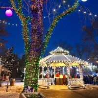 Winter Whyte Light Up