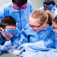 DiscoverE Summer Camps