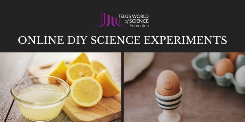 EXPERIMENTOS CIENTÍFICOS DIY EN LÍNEA