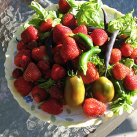 A Fazenda de Berry Upick