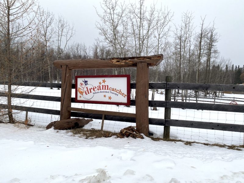 Our Family Farm Adventure to Dreamcatcher Ranch Family Fun Edmonton