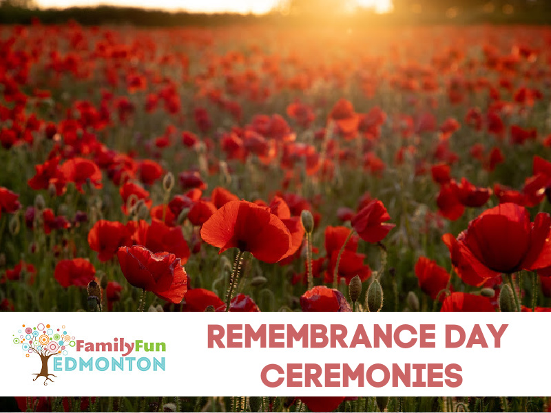 Remembrance Day Ceremonies 2020