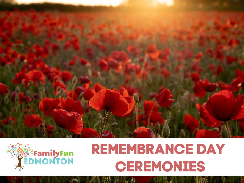 Remembrance Day Ceremonies in Edmonton Family Fun Edmonton