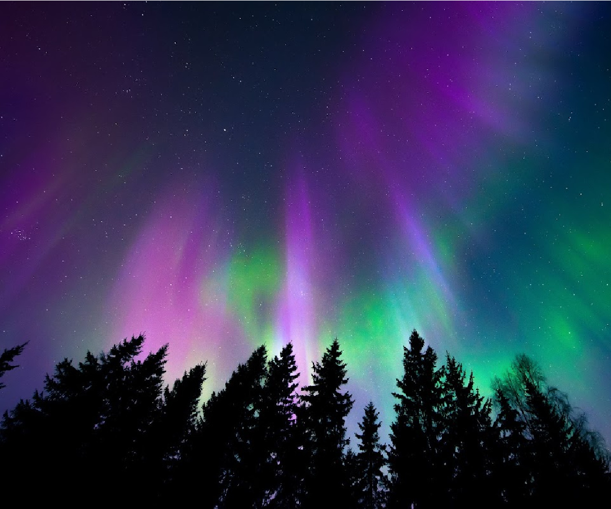 Snowshoe and Stargaze at Elk Island