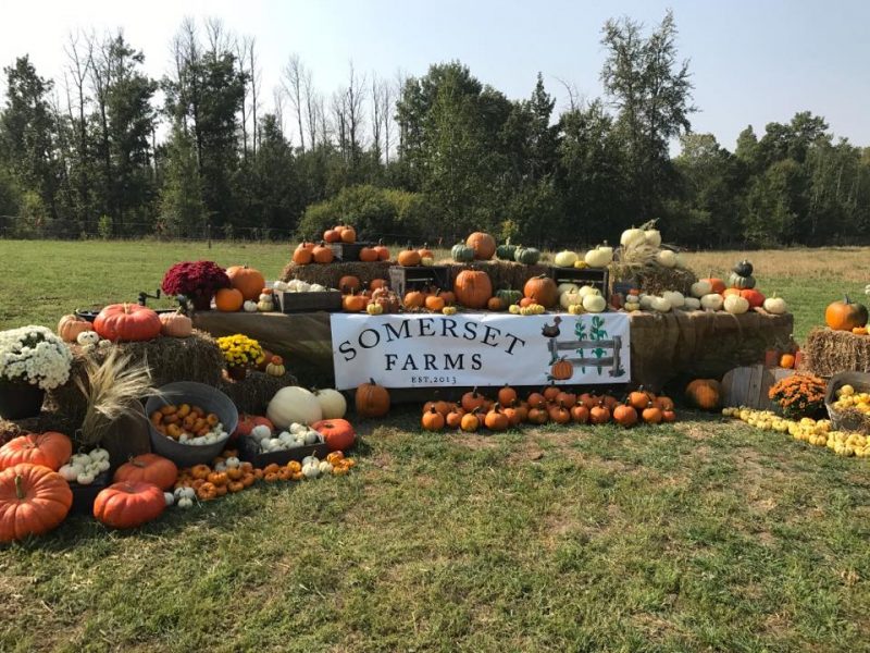 Find Outdoor Fun All Year Long at Somerset Farms Family Fun Edmonton
