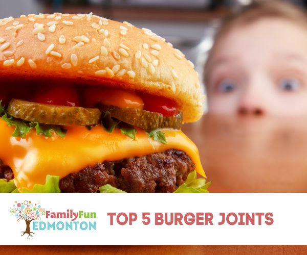 Top Burger Restaurants