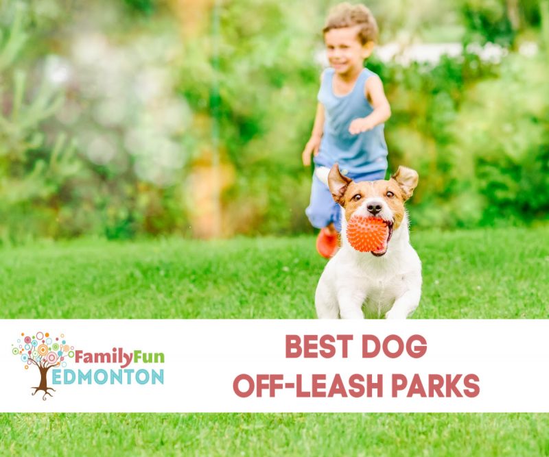 Our Top 10 Favourite OffLeash Dog Parks Family Fun Edmonton