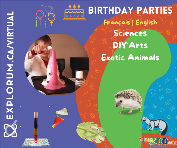 Anniversaires Explorum