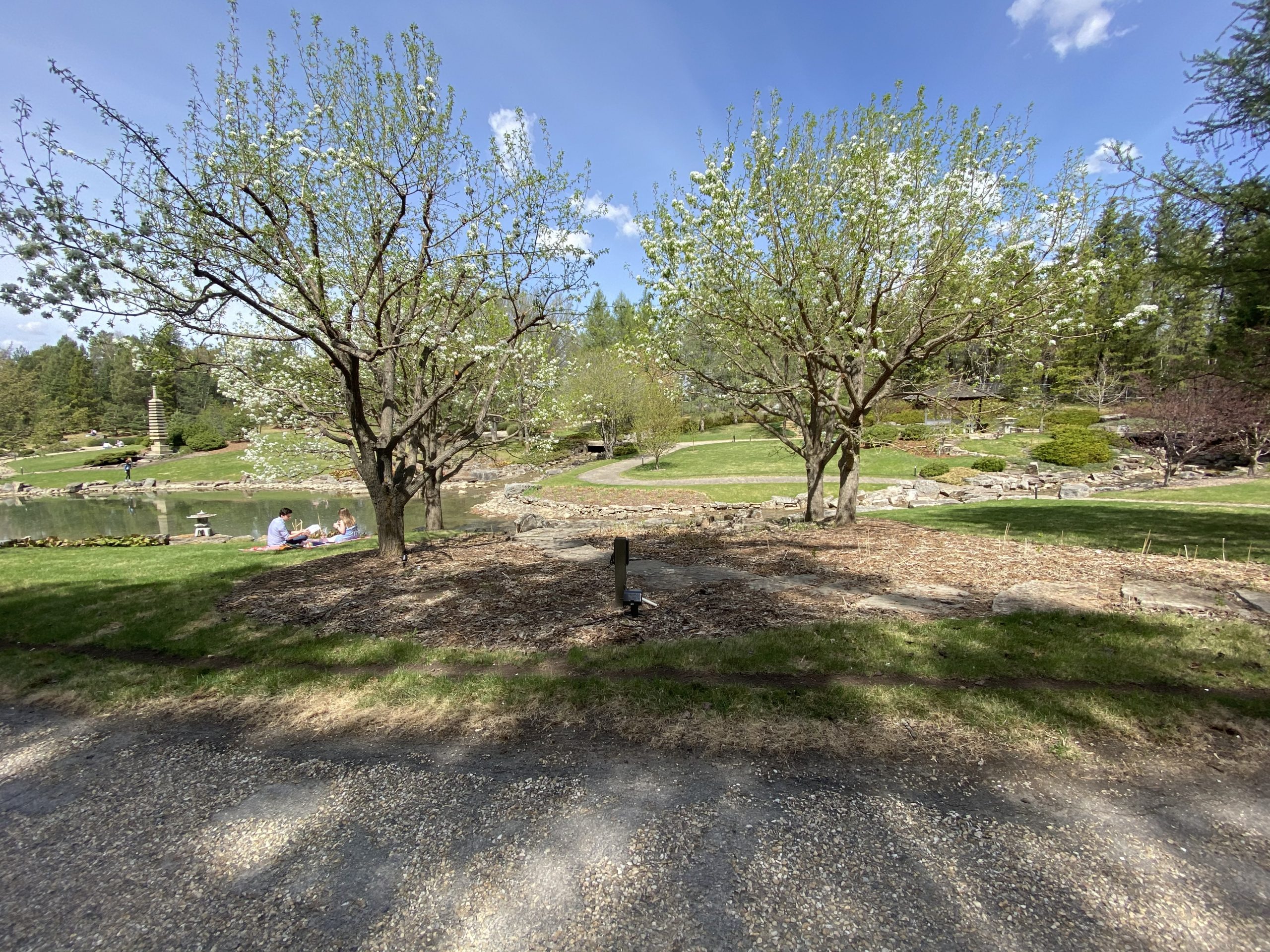 Japanese Gardens Botanic Garden