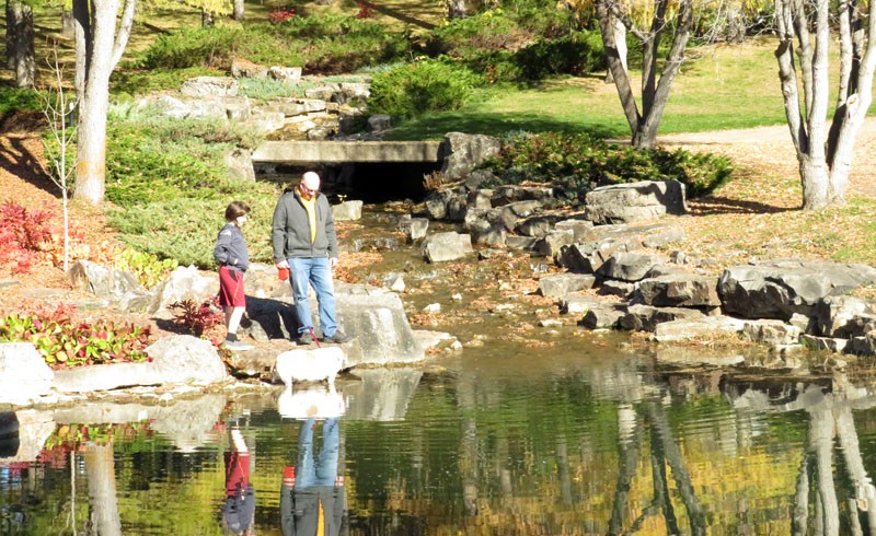 三伏天 U of A Botanic Gardens