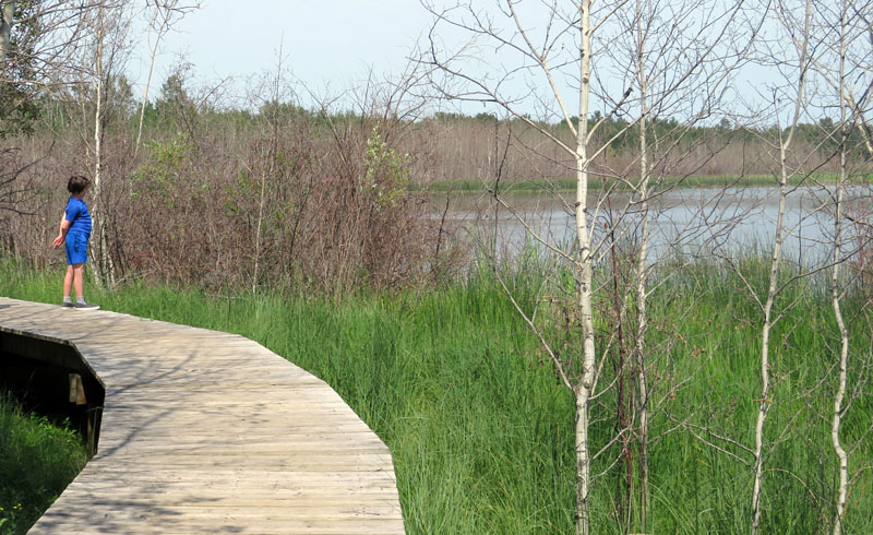 Santuario de Clifford E Lee | Diversión familiar en Edmonton