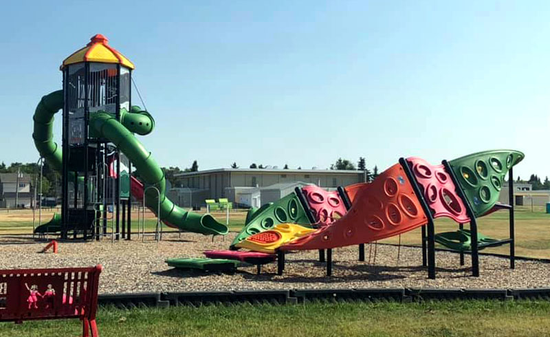 Fort SaskatchePlaygroundSheep