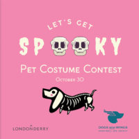 Londonderry Mall HalloweenPet Fashion Show