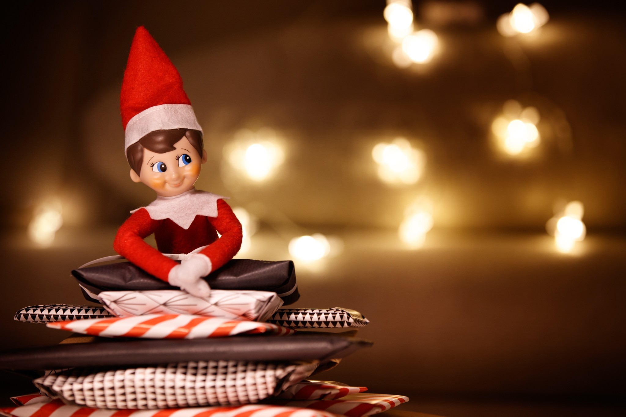 Leduc Recreation Centre Elf on a Shelf Package