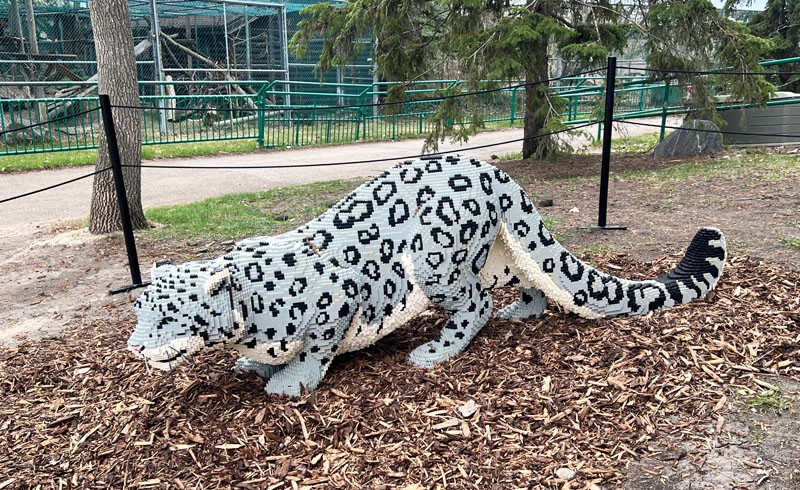 Le zoo de la vallée d'Edmonton se connecte à la nature