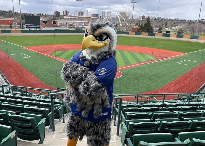 Base-ball des Riverhawks d'Edmonton