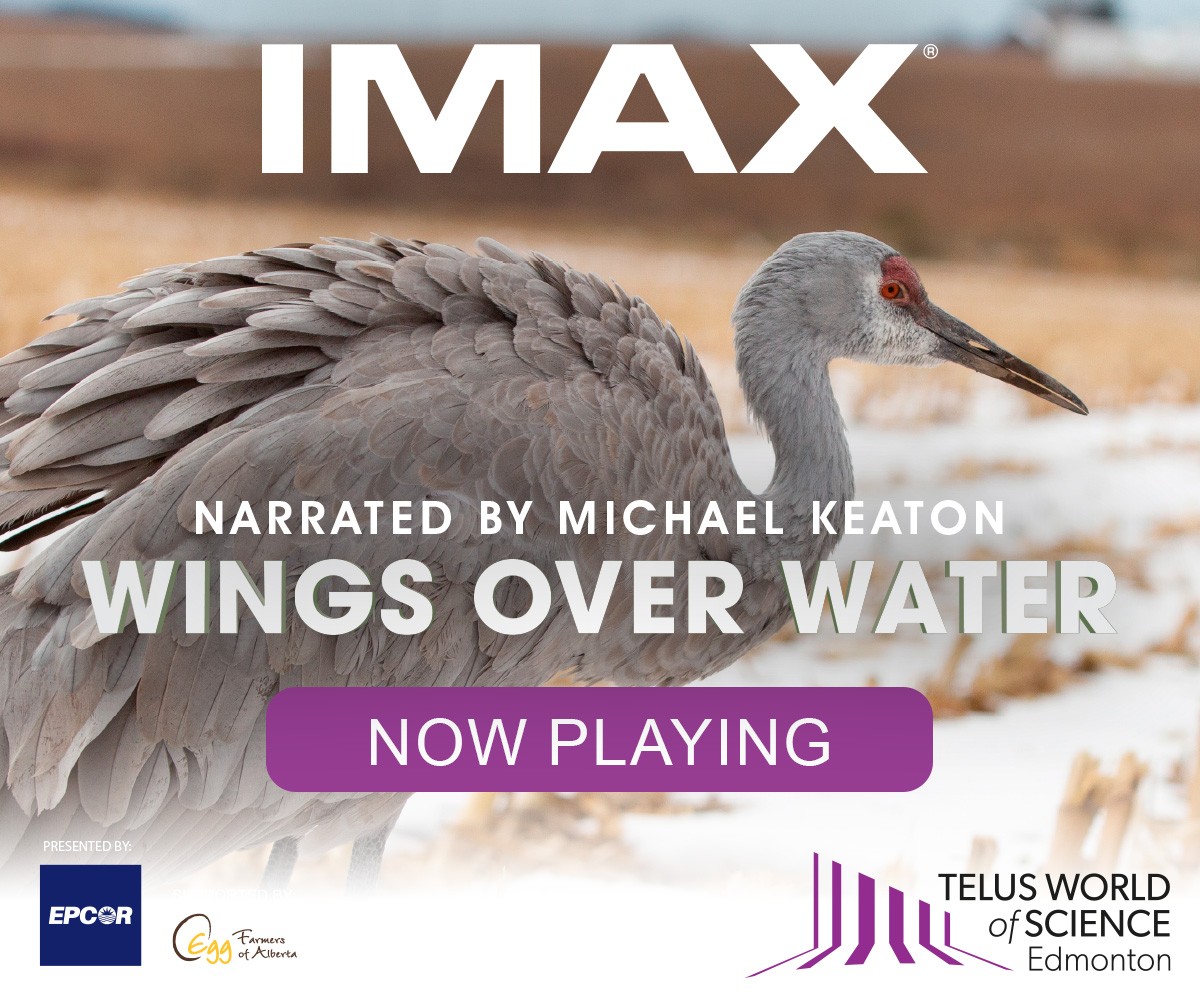 IMAX 飞越水面